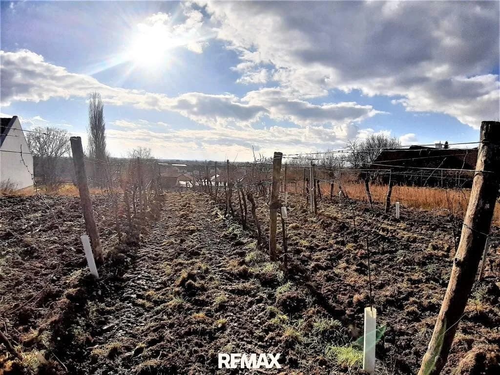 Grundstück kaufen in Neusiedl am See – 2 400 m², € 768.000 – Bild 3 von 3