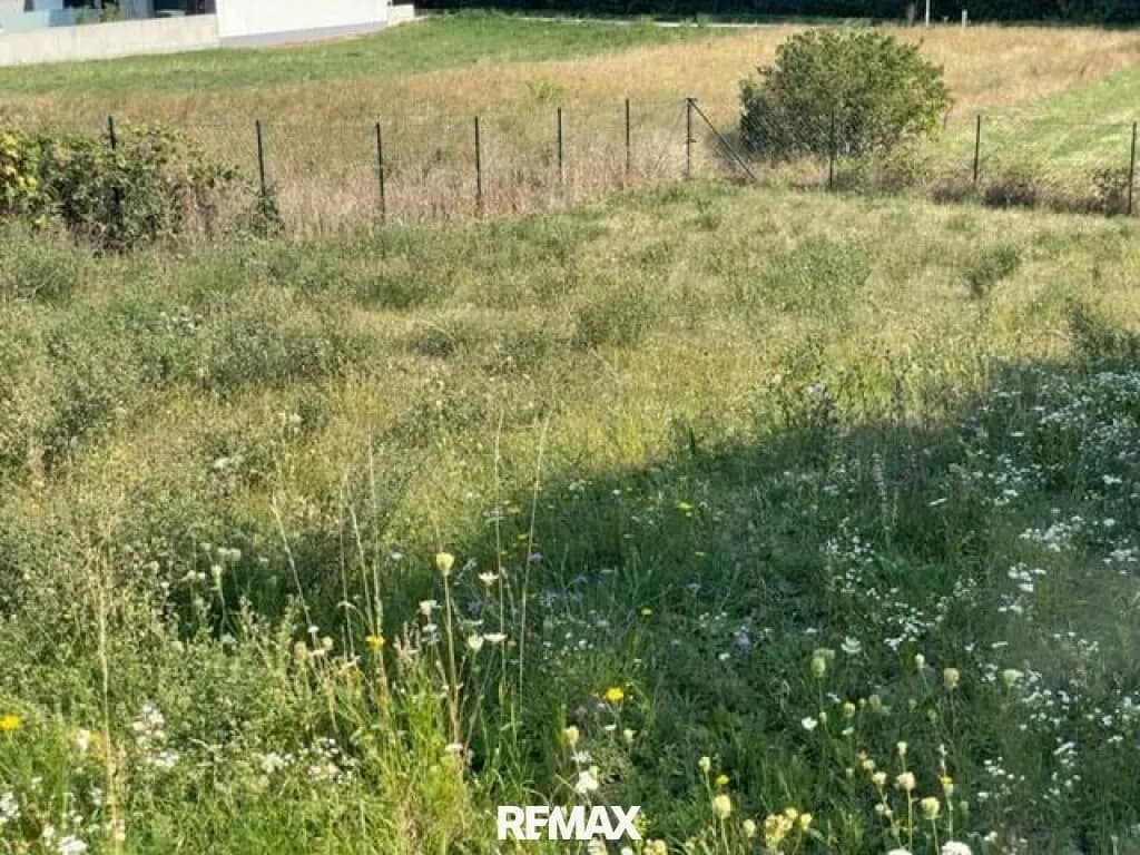 Grundstück kaufen in Neusiedl am See – 376 m², € 225.600