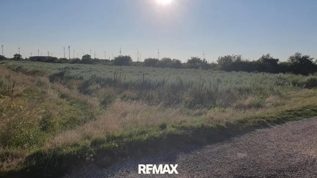 Immobilie kaufen in Neusiedl am See – 8 693 m², € 173.860 – Bild 2 von 4