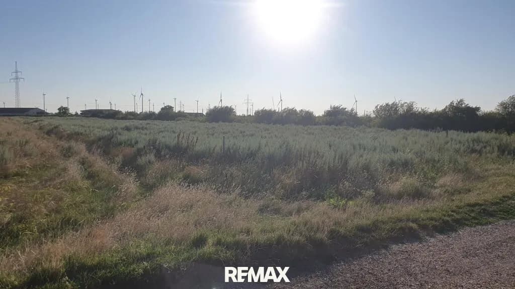 Immobilie kaufen in Neusiedl am See – 8 693 m², € 173.860 – Bild 3 von 4