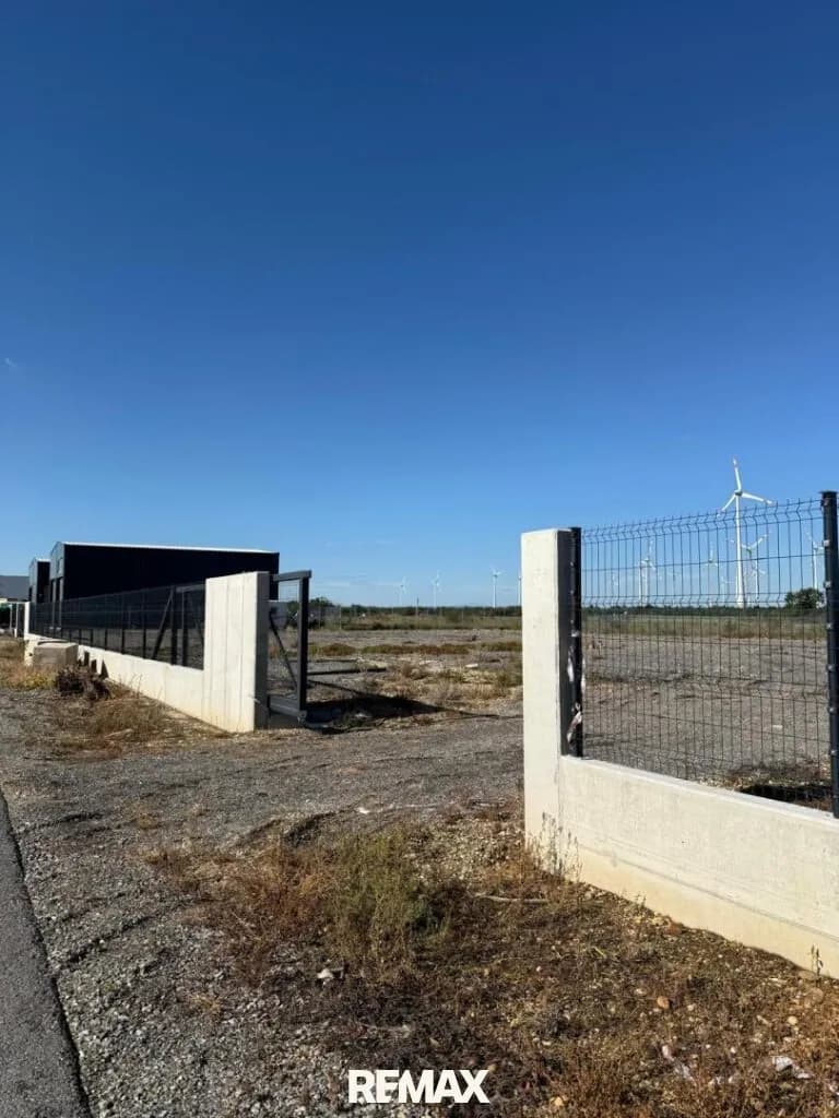 Grundstück kaufen in Neusiedl am See – 2 843 m², € 349.000 – Bild 5 von 6