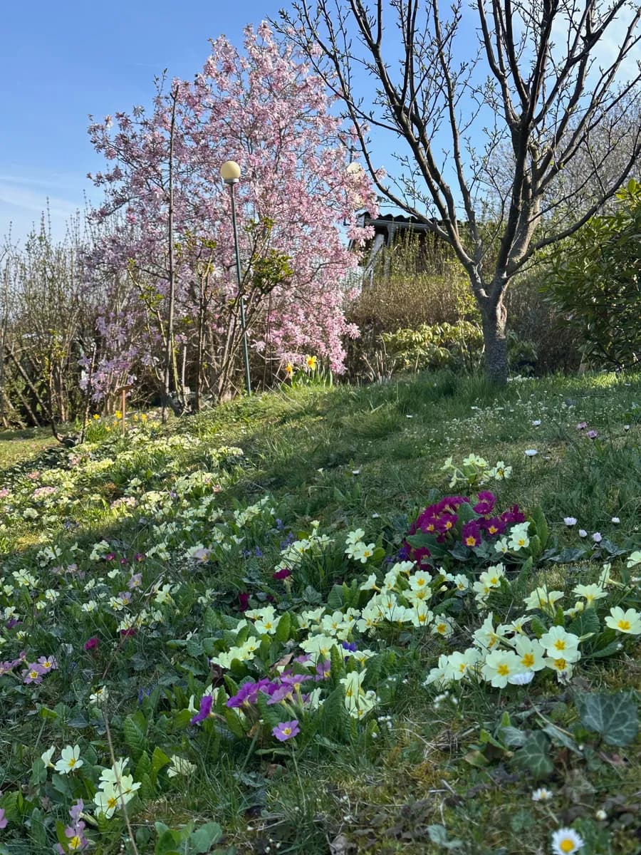 Wohnung kaufen in Mattersburg – 56 m², € 38.000 – Bild 7 von 21