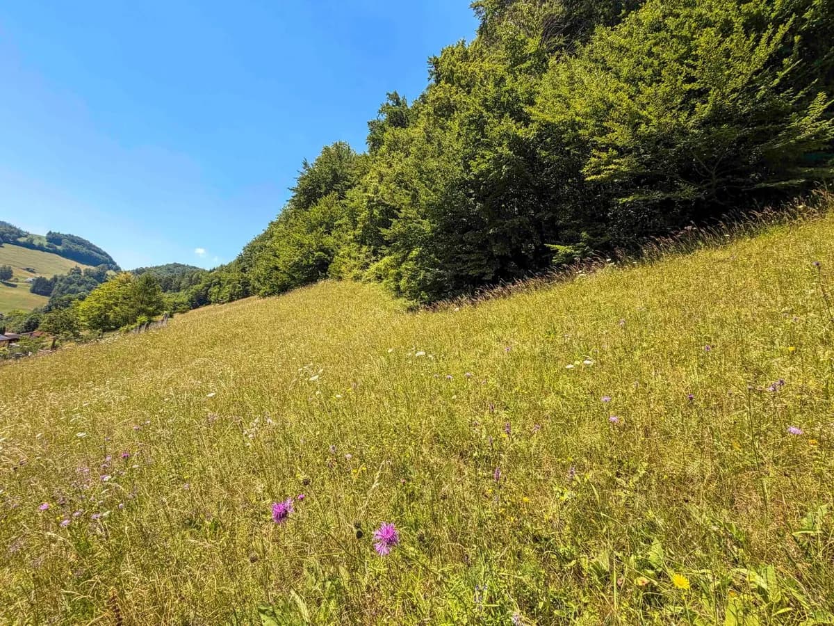 Grundstück kaufen in Steyr-Land – 600 m², € 800.000 – Bild 11 von 14