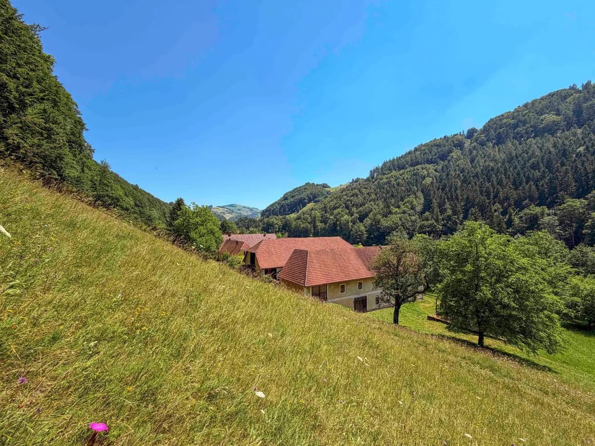 Grundstück kaufen in Steyr-Land – 600 m², € 800.000 – Bild 12 von 14