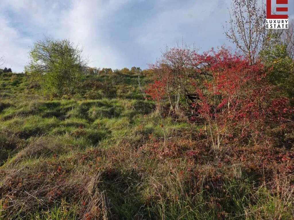 Grundstück kaufen in Sankt Veit an der Glan – 999 m², € 94.000 – Bild 13 von 19