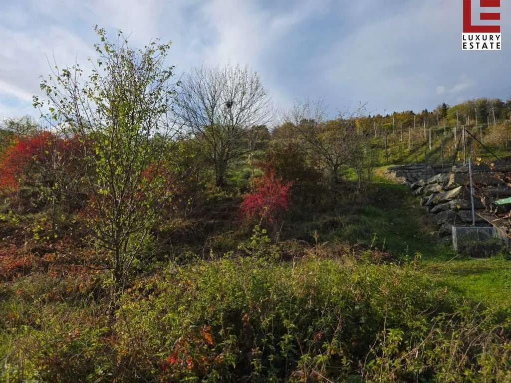 Grundstück kaufen in Sankt Veit an der Glan – 999 m², € 94.000 – Bild 19 von 19