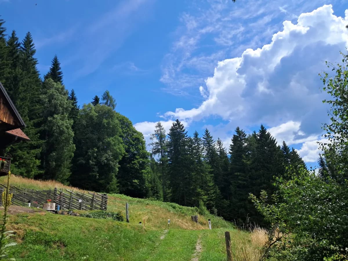 Grundstück kaufen in Deutschlandsberg – 2 065 m², € 122.000 – Bild 2 von 5