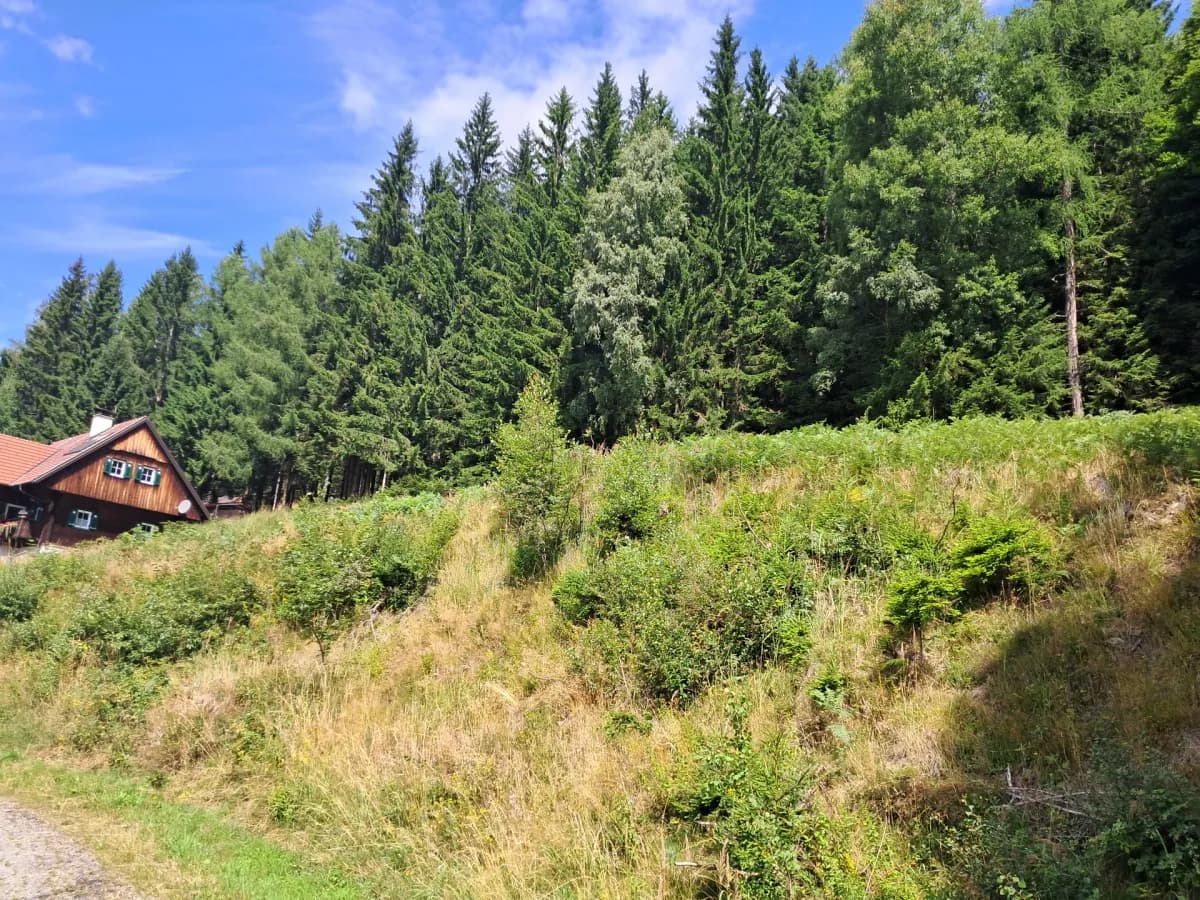 Grundstück kaufen in Deutschlandsberg – 2 065 m², € 122.000 – Bild 4 von 5