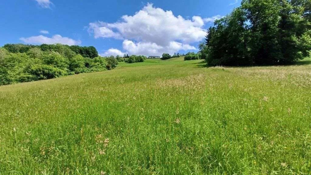 Grundstück kaufen in Güssing – 10 381 m², € 62.500