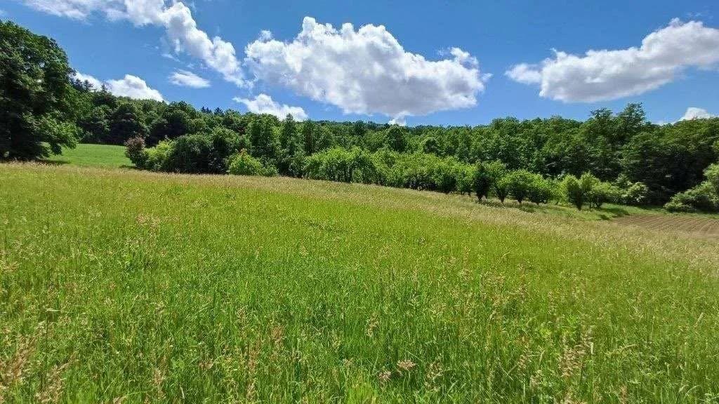 Grundstück kaufen in Güssing – 10 381 m², € 62.500 – Bild 2 von 6