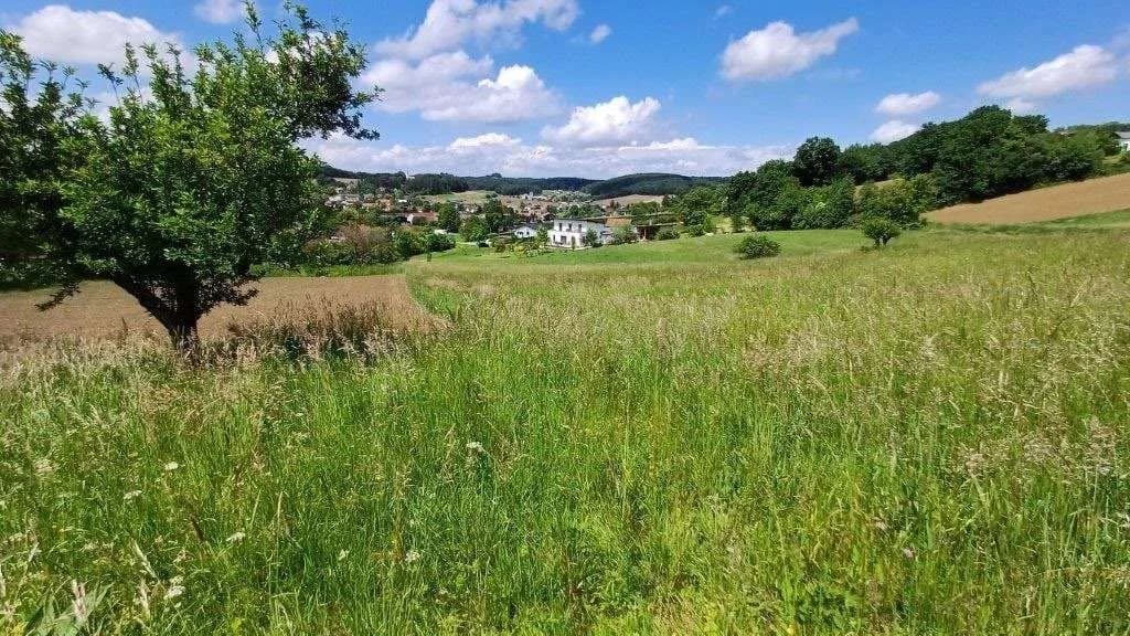 Grundstück kaufen in Güssing – 10 381 m², € 62.500 – Bild 3 von 6