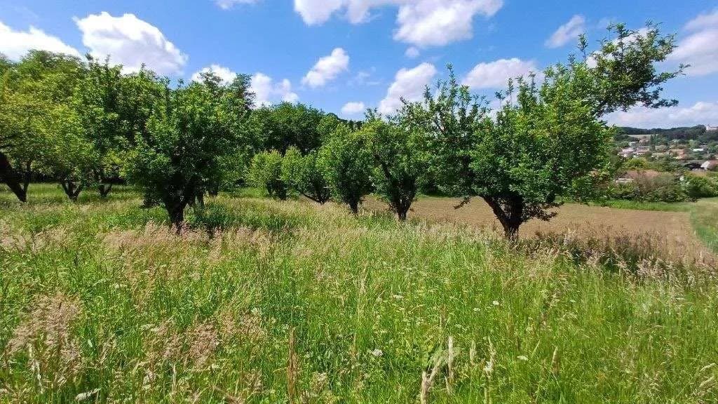 Grundstück kaufen in Güssing – 10 381 m², € 62.500 – Bild 4 von 6