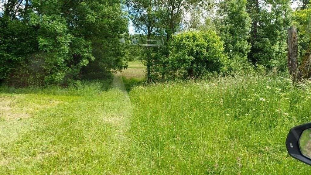 Grundstück kaufen in Güssing – 10 381 m², € 62.500 – Bild 5 von 6