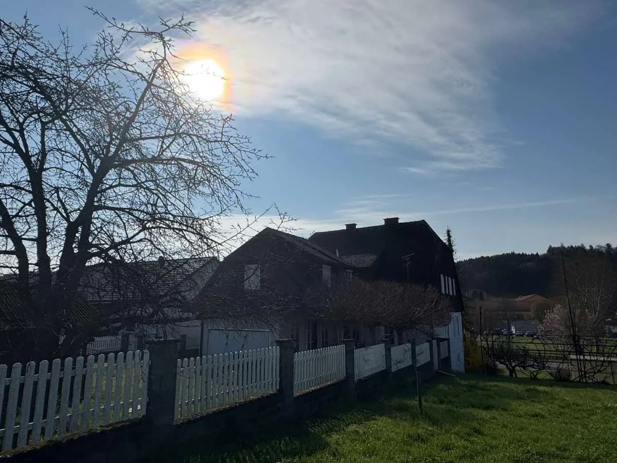 14-Zimmer-Haus kaufen in Südoststeiermark – 270 m², € 385.000 – Bild 8 von 32
