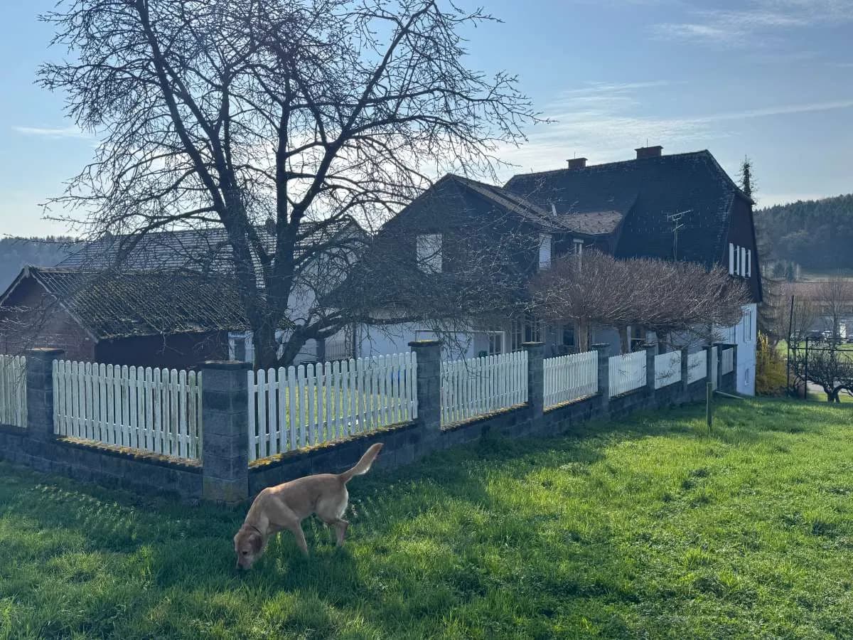 14-Zimmer-Haus kaufen in Südoststeiermark – 270 m², € 385.000 – Bild 32 von 32