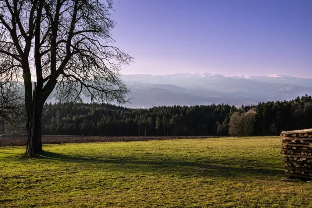 Grundstück kaufen in Wolfsberg – 12 355 m², € 649.900 – Bild 5 von 14