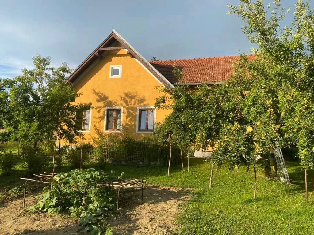 6-Zimmer-Haus kaufen in Güssing – 115 m², € 276.000 – Bild 3 von 31