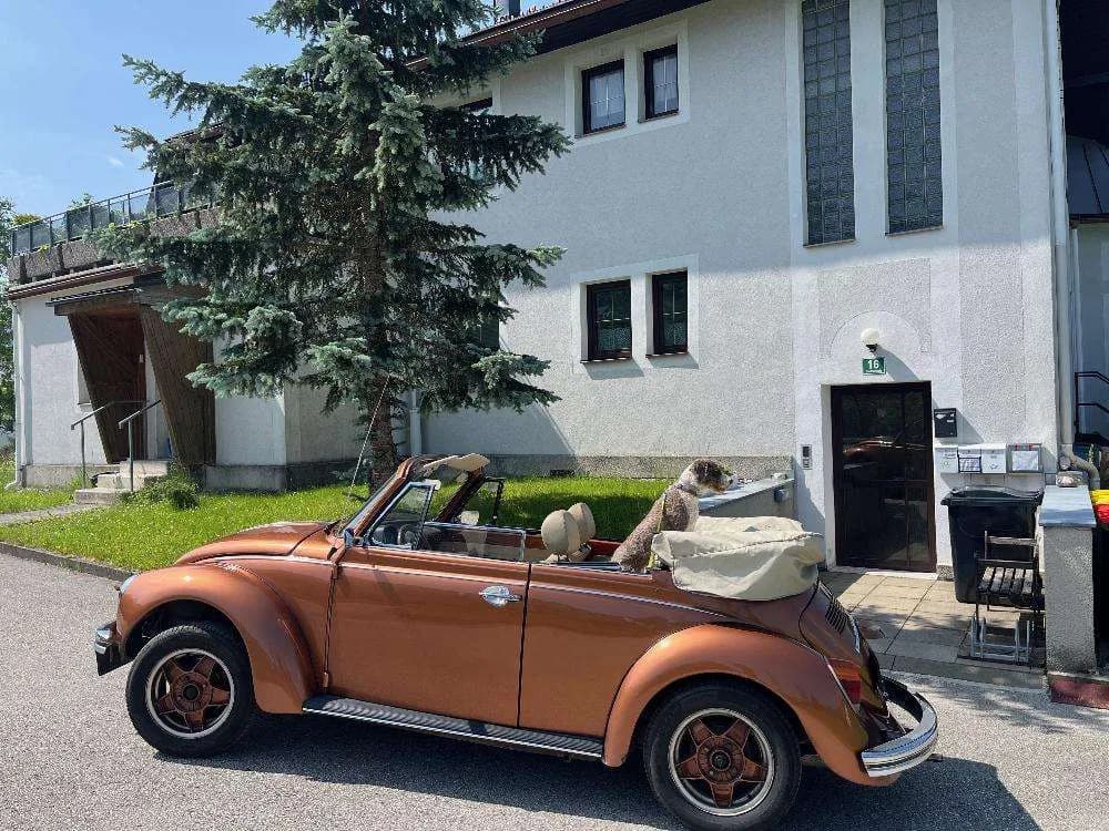 4-Zimmer-Wohnung kaufen in Bruck-Mürzzuschlag – 82 m², € 140.000