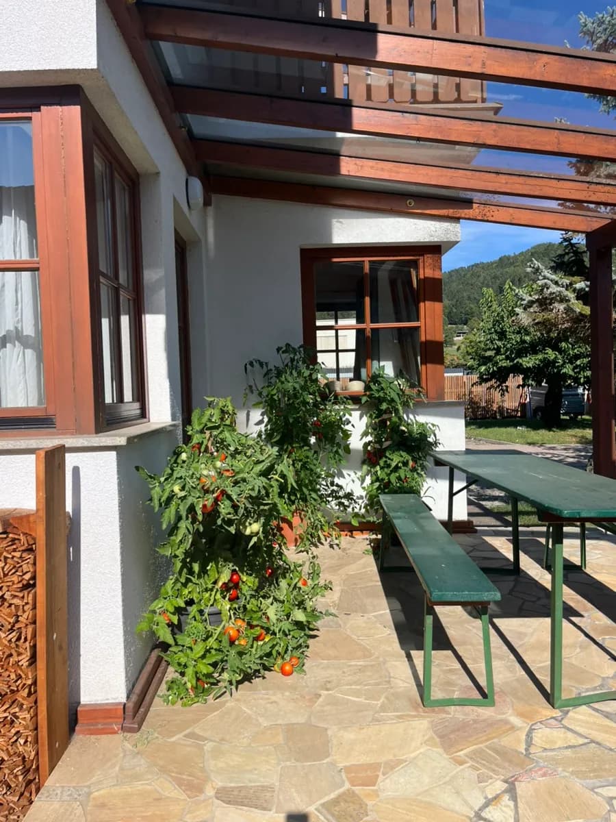 6-Zimmer-Gewerbeimmobilie kaufen in Völkermarkt – 220 m², € 495.000 – Bild 4 von 11