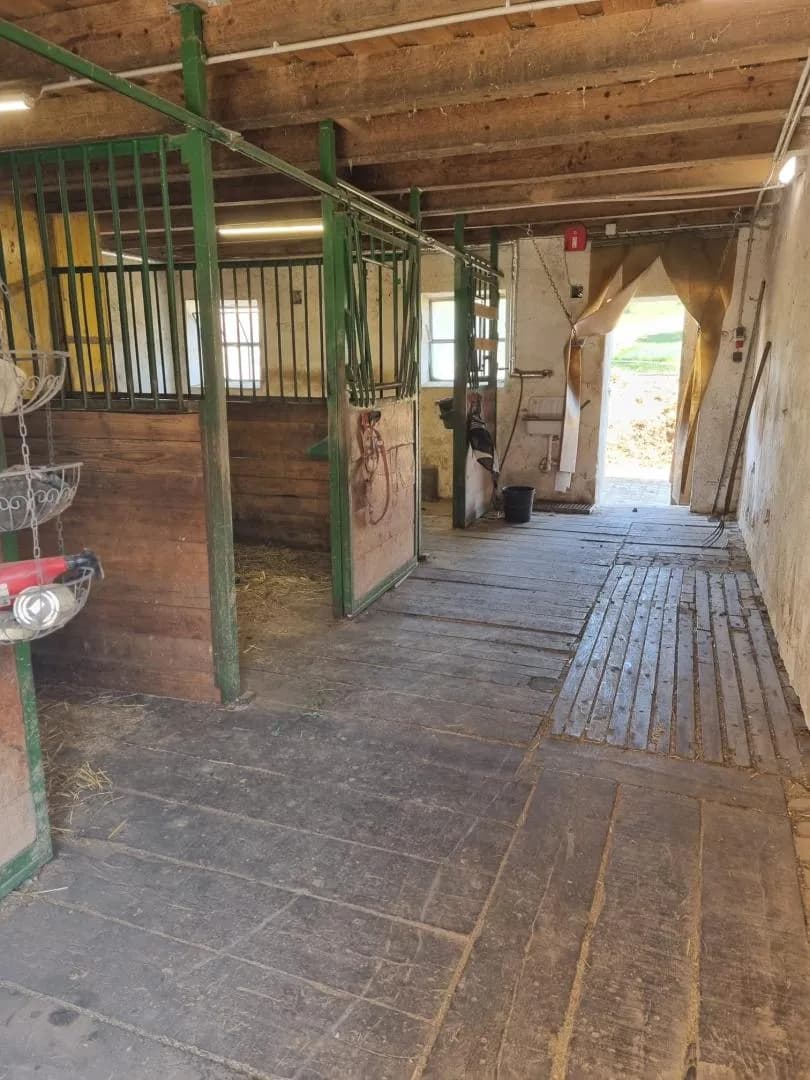 2-Zimmer-Haus kaufen in Melk – 163 m², € 1.100.000 – Bild 8 von 32