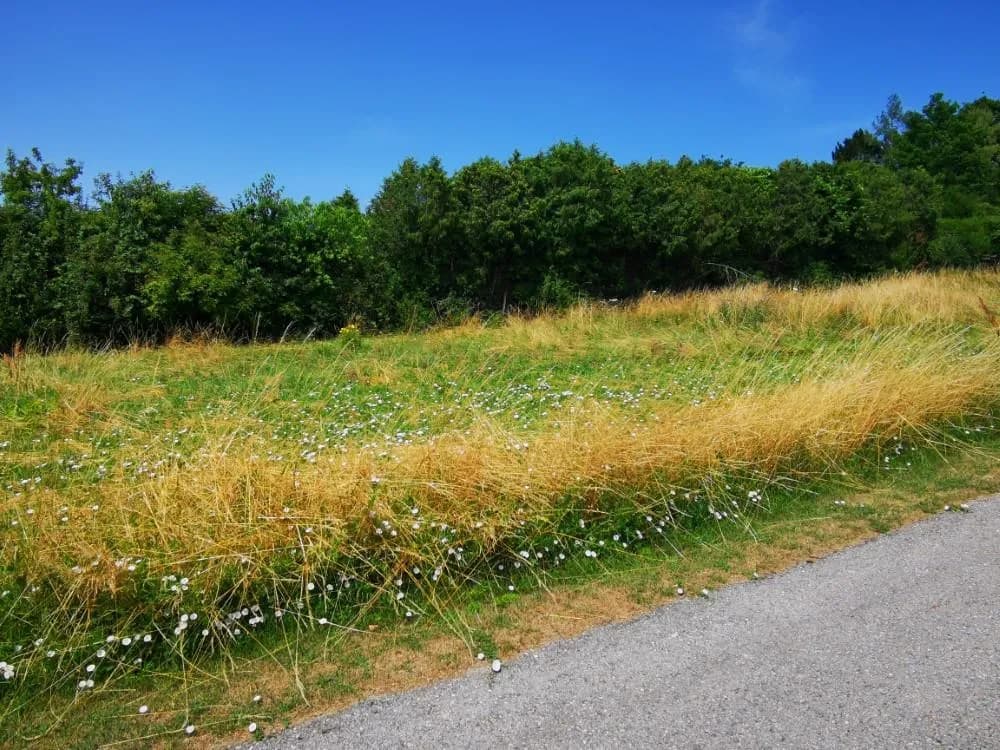 Grundstück kaufen in Korneuburg – 1 216 m², € 225.000 – Bild 2 von 4