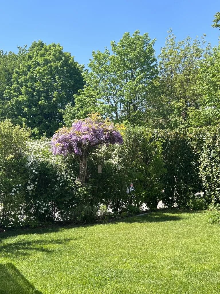 Wohnung kaufen in Perg – 104 m², € 498.000 – Bild 3 von 26
