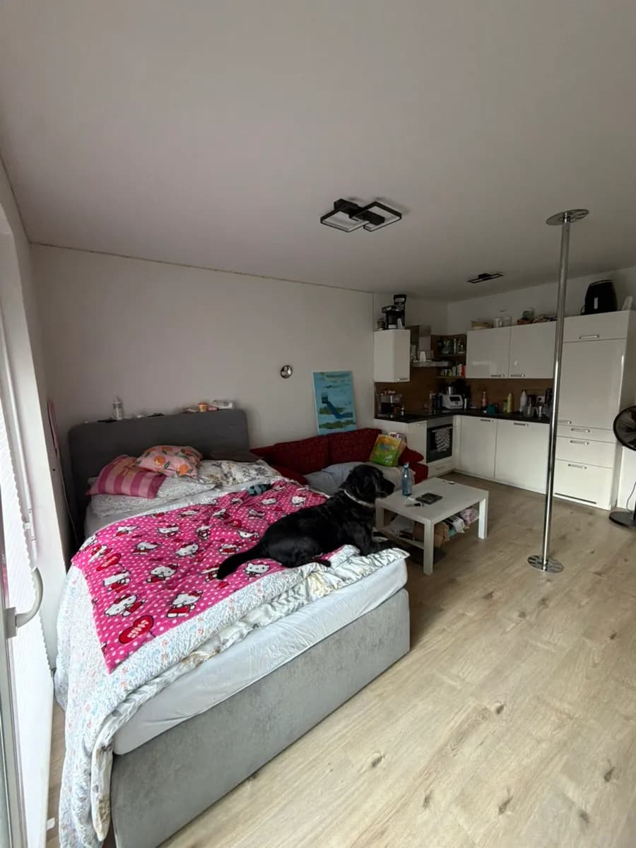 1-Zimmer-Wohnung mieten in Klagenfurt – 35 m², € 635 – Bild 13 von 19