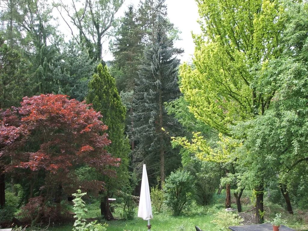 Grundstück kaufen in Sankt Pölten Land – 3 194 m², € 480.000