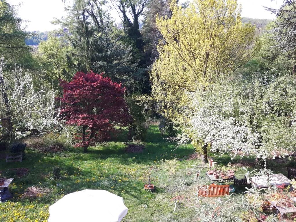 Grundstück kaufen in Sankt Pölten Land – 3 194 m², € 480.000 – Bild 3 von 15