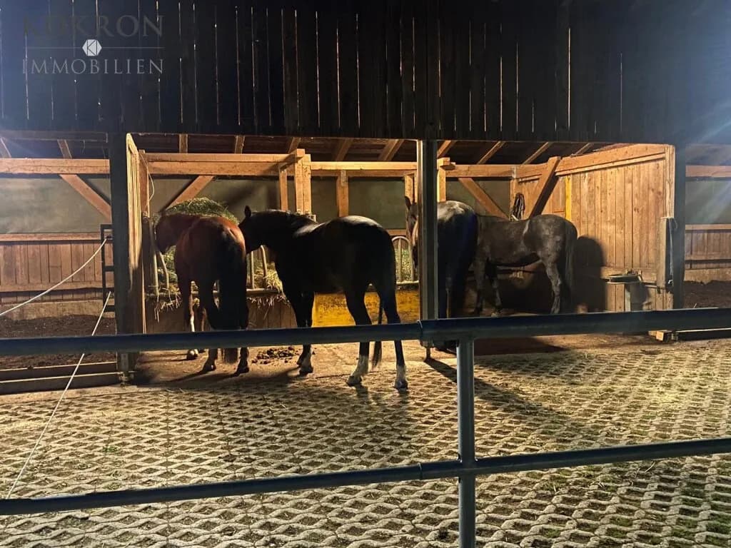 Immobilie kaufen in Krems Land – 150 m², € 670.000 – Bild 9 von 11