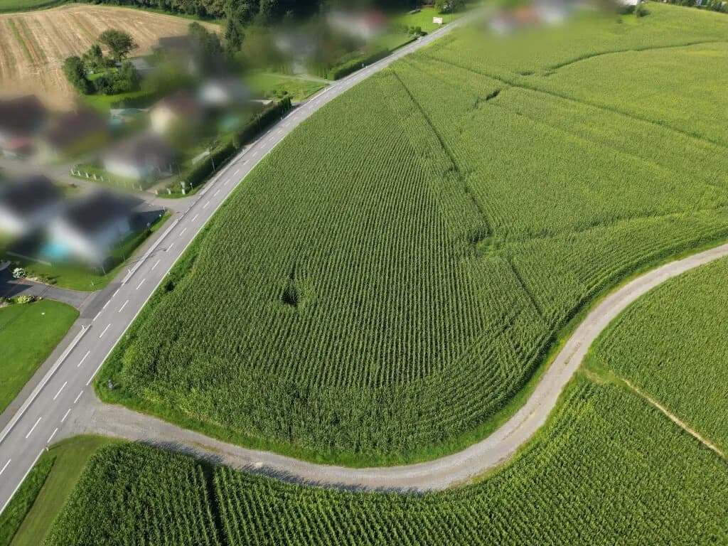 Immobilie kaufen in Leibnitz – Bild 3 von 7