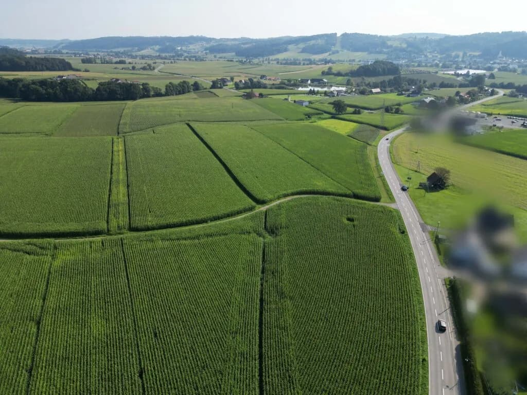 Immobilie kaufen in Leibnitz