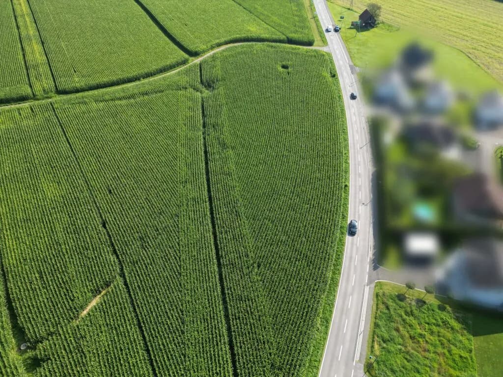 Immobilie kaufen in Leibnitz – Bild 4 von 7