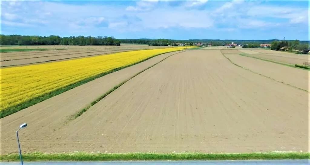 Grundstück kaufen in Südoststeiermark – 5 097 m², € 350.000