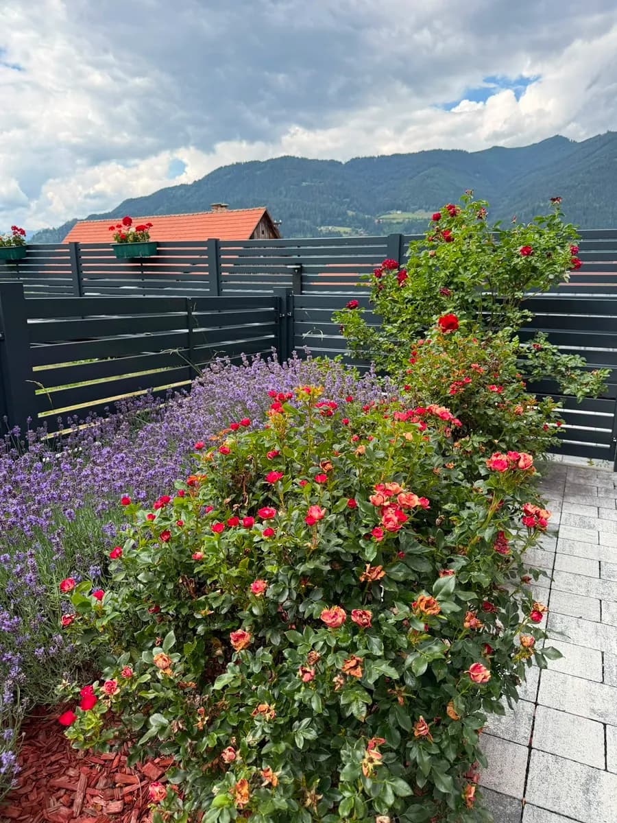 2-Zimmer-Wohnung kaufen in Murau – 85 m², € 425.000 – Bild 21 von 34