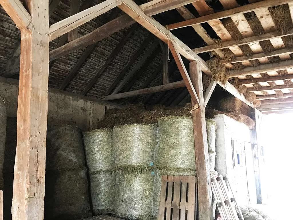 3-Zimmer-Immobilie kaufen in Hollabrunn – 100 m², € 98.000 – Bild 23 von 25