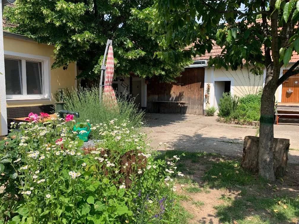 7-Zimmer-Haus kaufen in Neunkirchen – 200 m², € 495.000 – Bild 19 von 38