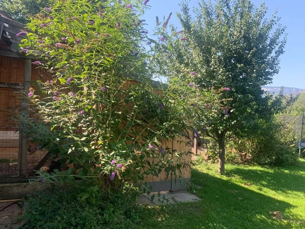 7-Zimmer-Haus kaufen in Neunkirchen – 200 m², € 495.000 – Bild 30 von 38