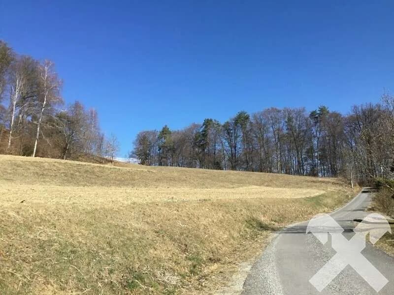 Grundstück kaufen in Südoststeiermark – 839 m² – Bild 2 von 4