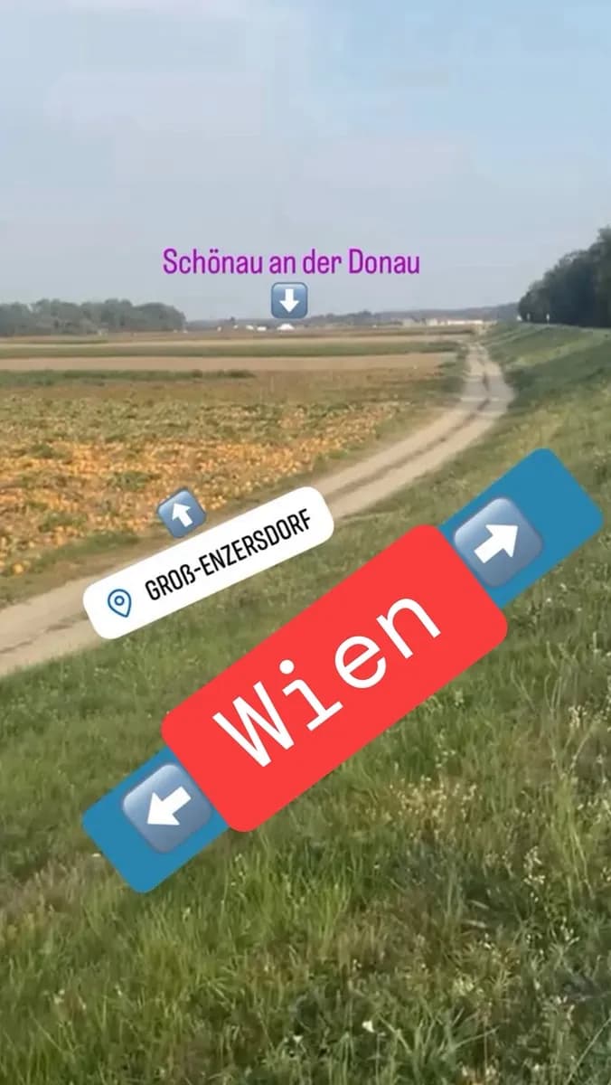 Grundstück kaufen in Gänserndorf – 3 000 m², € 169.000