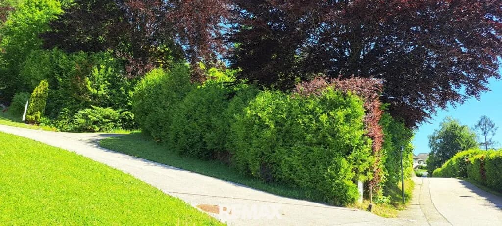 Immobilie kaufen in Amstetten – 1 973 m², € 145.000 – Bild 2 von 12