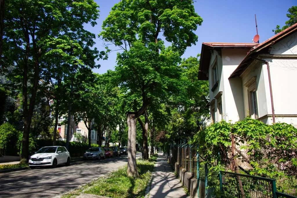 Immobilie kaufen in Wien – 673 m² – Bild 11 von 16