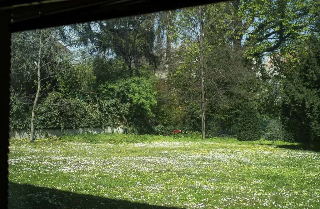 Immobilie kaufen in Wien – 673 m² – Bild 15 von 16