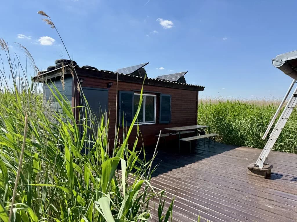 Immobilie kaufen in Eisenstadt - Umgebung – 34,02 m², € 330.000 – Bild 17 von 50