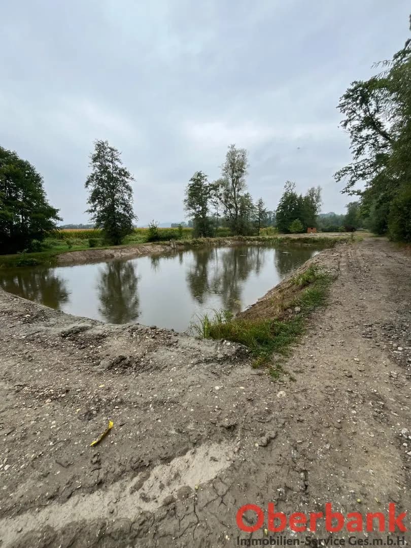 Grundstück kaufen in Urfahr-Umgebung – 8 934 m², € 199.000