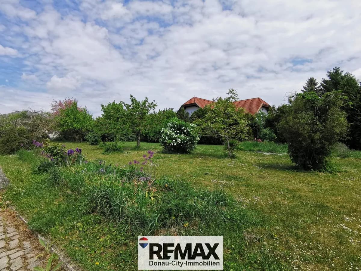 Gewerbeimmobilie kaufen in Mistelbach – 360 m² – Bild 16 von 22
