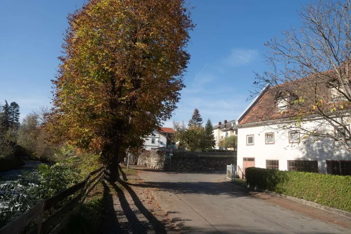 Gewerbeimmobilie kaufen in Leoben – 840 m², € 369.900 – Bild 10 von 13