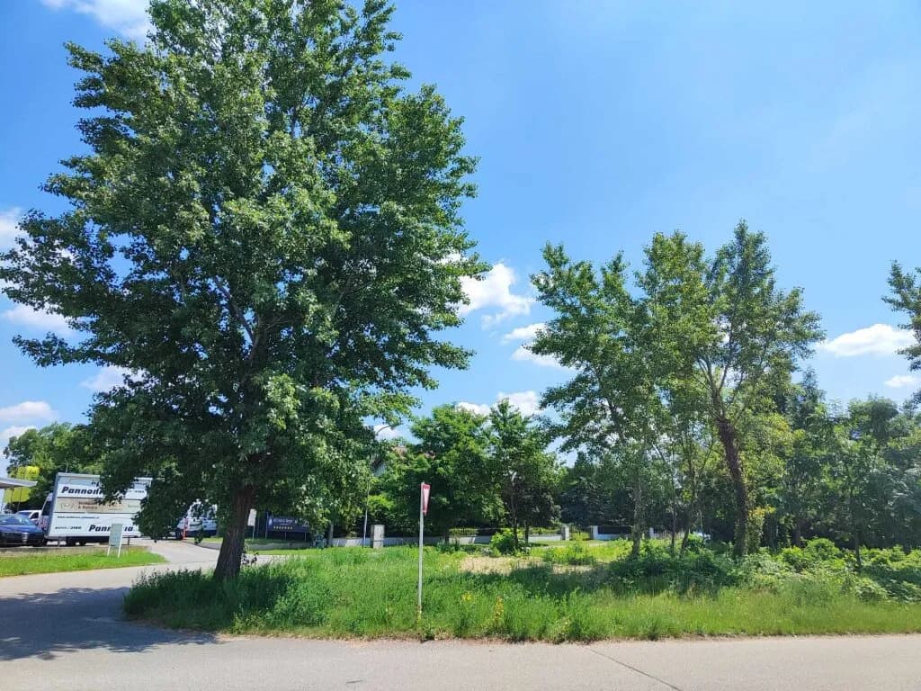 Grundstück kaufen in Neusiedl am See – 701 m², € 142.000 – Bild 5 von 12