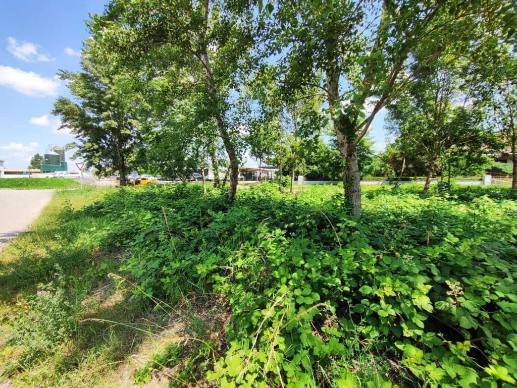 Grundstück kaufen in Neusiedl am See – 701 m², € 142.000 – Bild 10 von 12