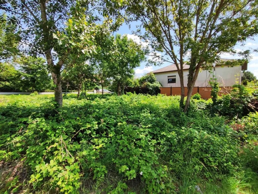 Grundstück kaufen in Neusiedl am See – 701 m², € 142.000 – Bild 11 von 12